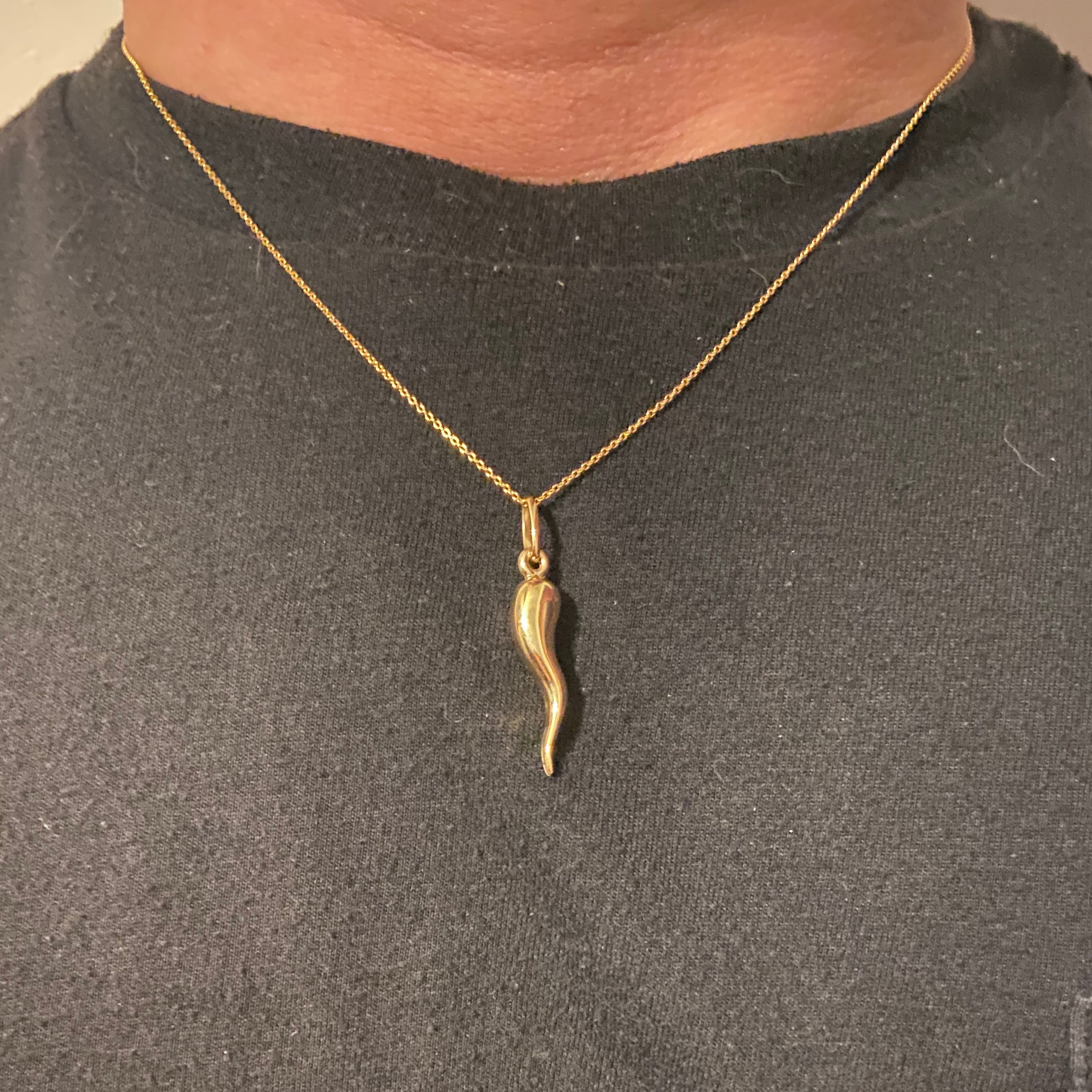 Solid Real 14k Yellow Gold Italian Horn and Chain Set - Prestige Jewelry